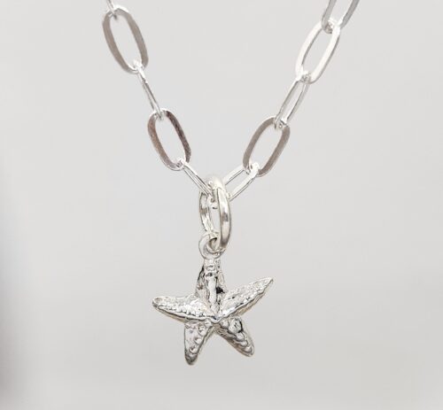 Dije Estrella de Mar